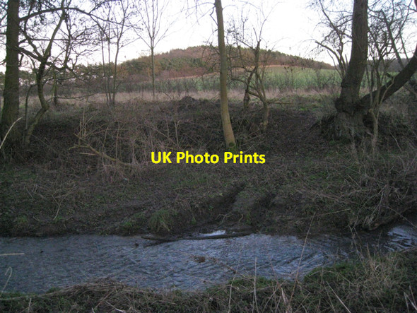 Photo 6"x4" Banks of Sherbourne Brook, dusk Littleworth\/SP2363 c2011