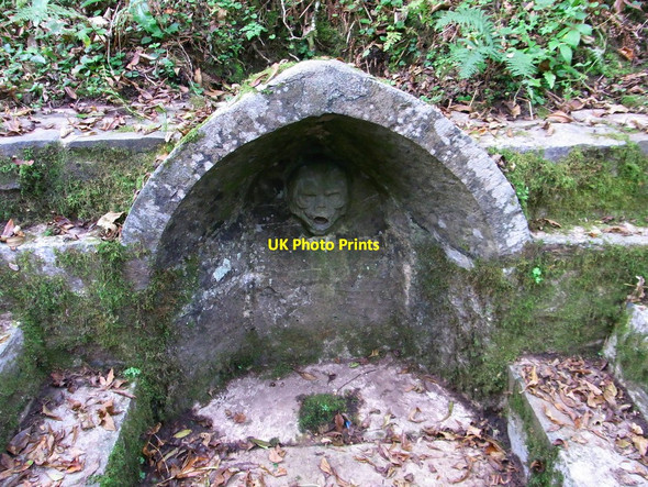 Photo 6"x4" Spring, Pont Felin G\u00c3\u00a2t Llanarthne c2010
