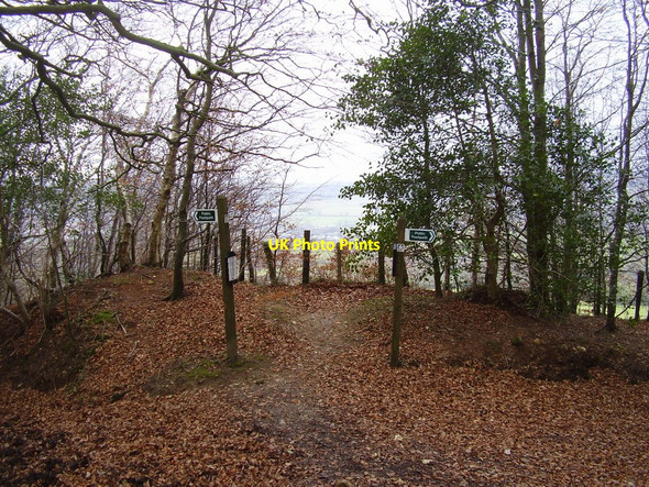 Photo 6"x4" Almost at the top of the hill Coombe\/SY1091 c2011