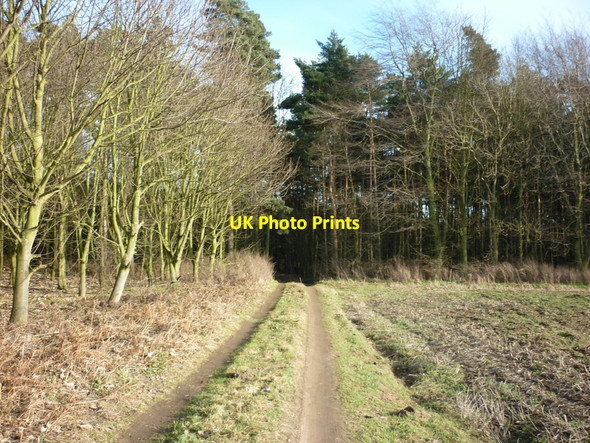 Photo 6"x4" A footpath to Broughton Broughton\/SE9608 c2011