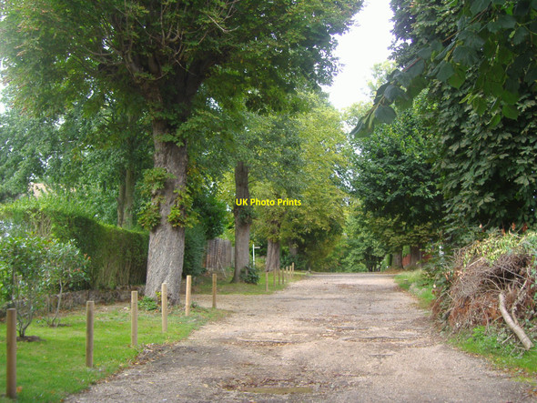 Photo 6"x4" Fitzalan Road, Claygate Esher c2008