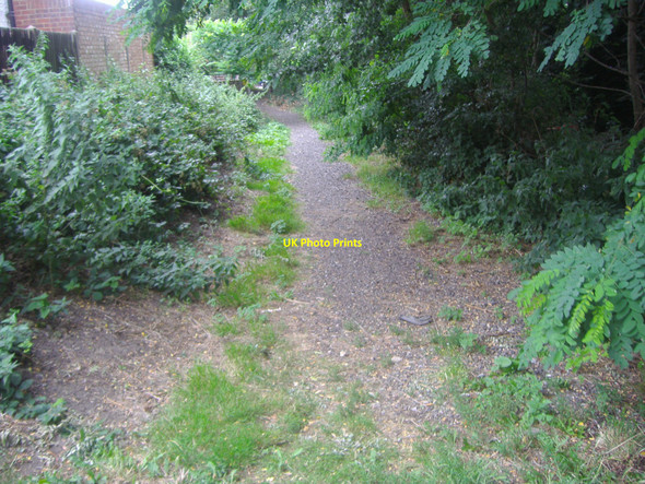 Photo 6"x4" Bridle Path, Beddington Wallington\/TQ2964 c2009