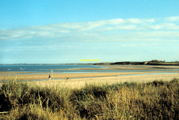 Photo 6"x4" Alnmouth - 1981 Alnmouth c1981 P1