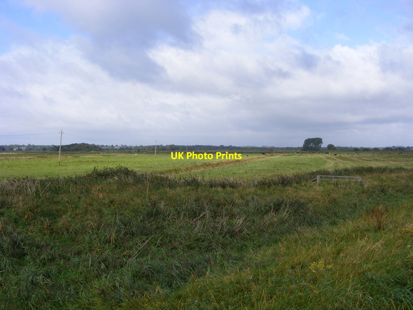 Photo 6"x4" Claxton Marsh Buckenham c2010