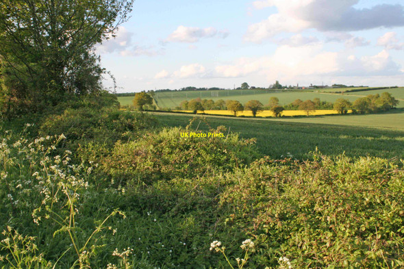 Photo 6"x4" Odiham, Hampshire South Warnborough c2005
