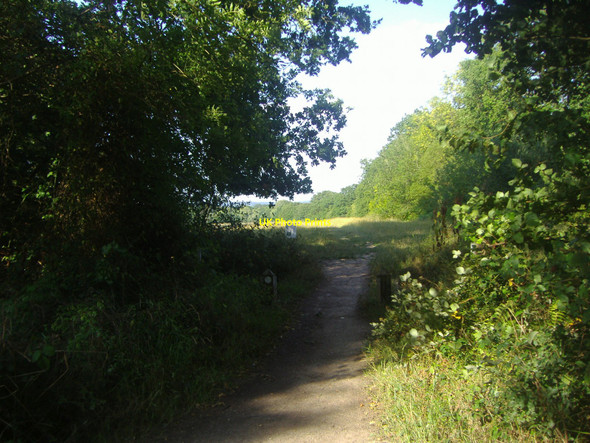 Photo 6"x4" Field entrance on Heath View, East Horsley East Horsley c2010