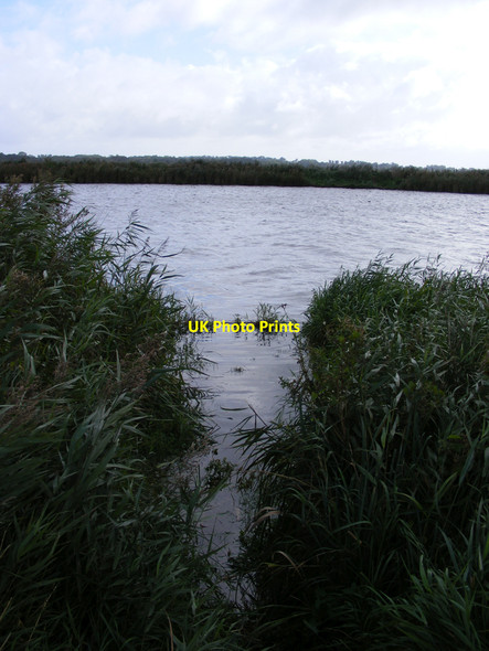 Photo 6"x4" Flooded fishing spot on the River Yare Buckenham c2010