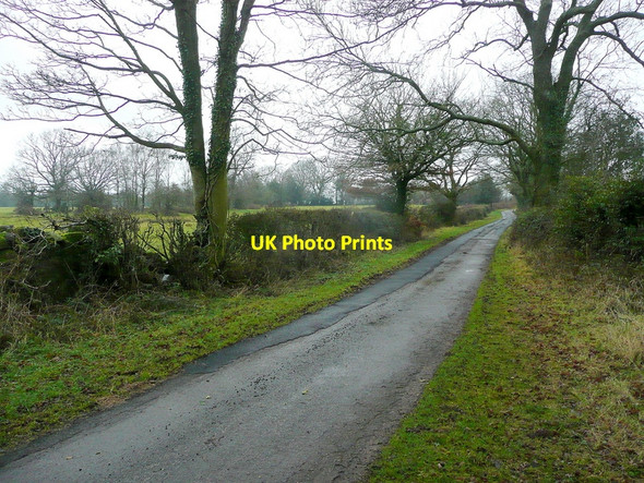 Photo 6"x4" Craig Lane Mitchel Troy c2011