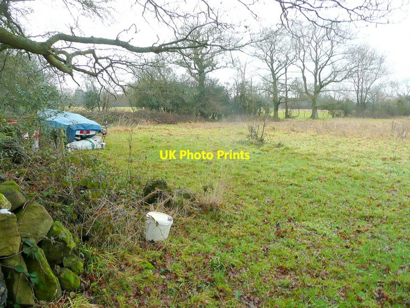 Photo 6"x4" Pasture by Craig Lane Mitchel Troy c2011
