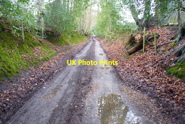 Photo 6"x4" Honey Lane, Burley Burley\/SU2103 c2011