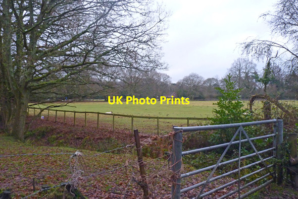 Photo 6"x4" Field off Honey Lane, Burley Burley\/SU2103 c2011