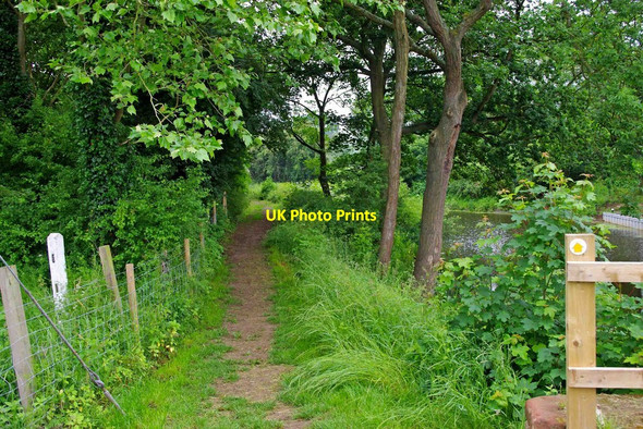 Photo 6"x4" Footpath alongside the Droitwich Barge Canal Hawford c2010
