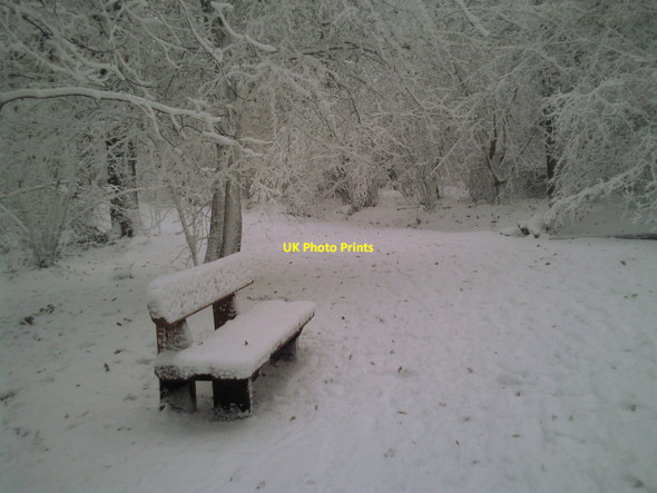 Photo 6"x4" Seat in Oxleas Wood Bexley c2010