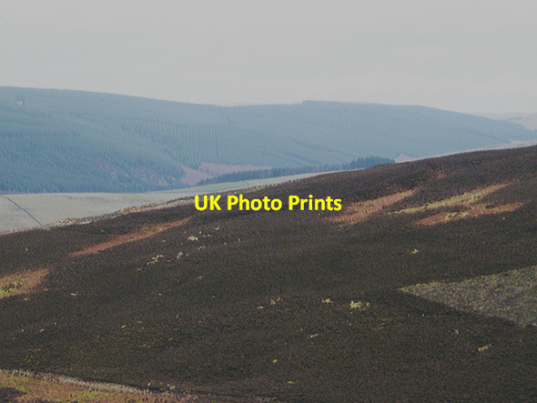 Photo 6"x4" Ditch and rampart dwelling earthworks, Orchard Rig Howford\/NT3136 c2011