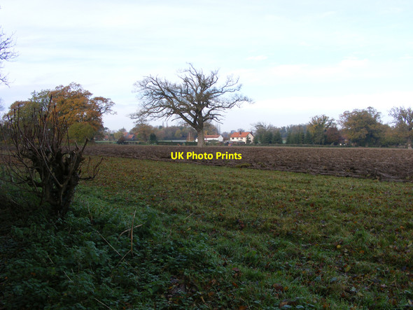 Photo 6"x4" View towards Free Lane Ditchingham c2010