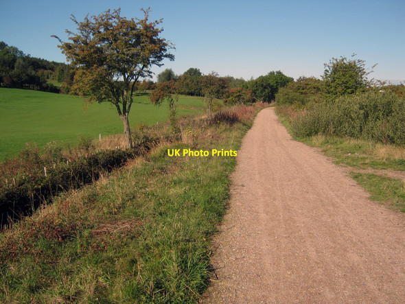 Photo 6"x4" Trail from Stanton Hill Sutton In Ashfield c2010