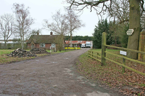 Photo 6"x4" Dogmersfield, Hampshire Rye Common c2011