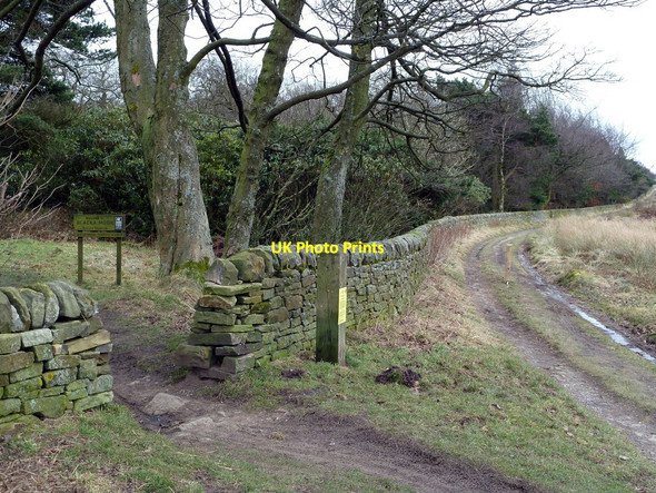 Photo 6"x4" Blacka Moor Nature Reserve Nether Padley c2011