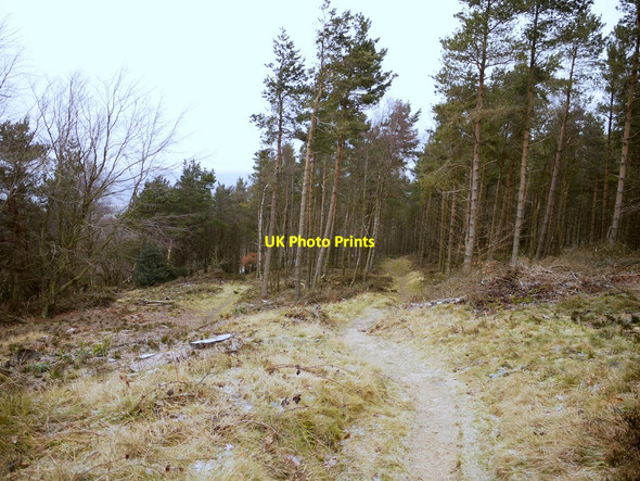 Photo 6"x4" Pontop Pike Park Stony Heap c2011