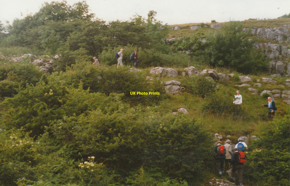 Photo 6"x4" Warton Crag hillside Carnforth c1997