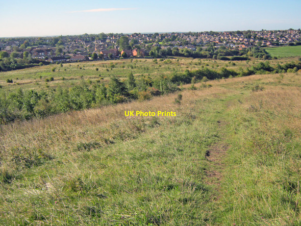Photo 6"x4" Brierley Forest Park Sutton In Ashfield c2010