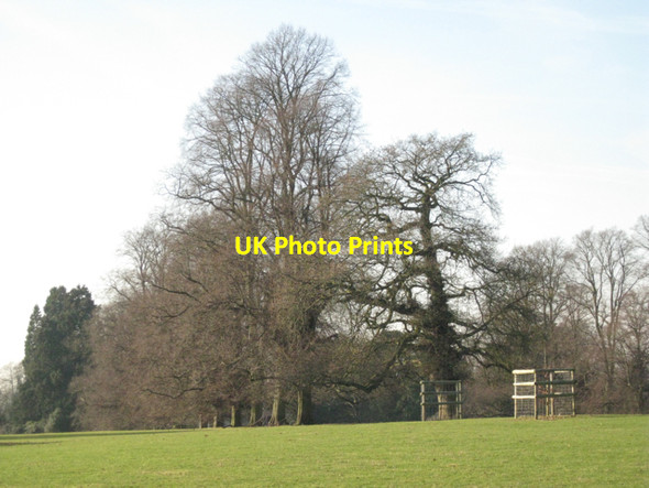 Photo 6"x4" Remains of an avenue, Berkswell Hall Berkswell c2011