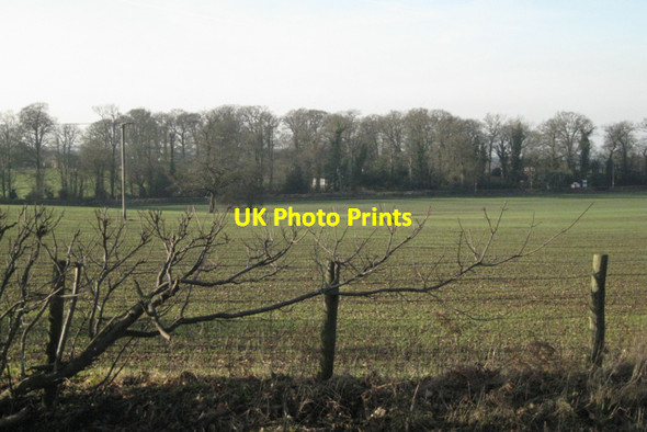 Photo 6"x4" Perimeter tree belt, Berkswell Hall parkland Berkswell c2011