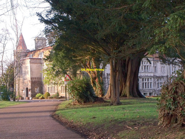 Photo 6"x4" Glyndley Manor near Hailsham Hankham c2011
