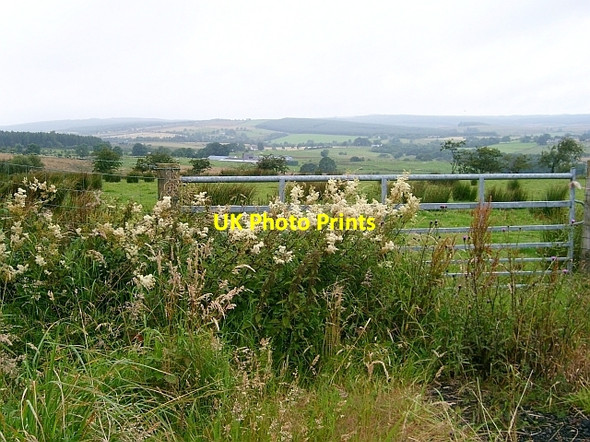 Photo 6"x4" Field gate with meadowsweet Oakshaw Ford c2007