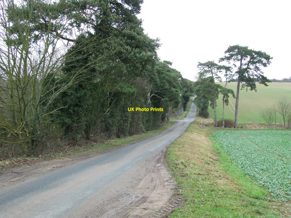 Photo 6"x4" Country Road Burthorpe c2011