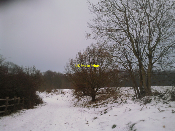 Photo 6"x4" Snowy footpath in Cobham Park on Christmas Day 2010 Cobham\/TQ6768 c2010