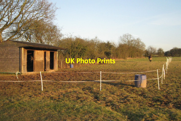 Photo 6"x4" Paddock north of Carol Green Carol Green c2011