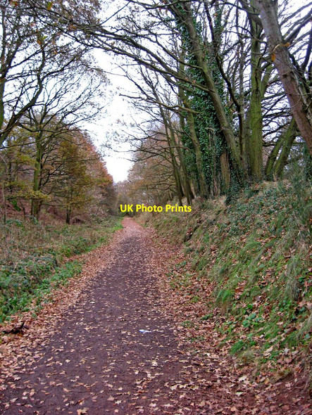Photo 6"x4" Leapgate Country Park Stourport-on-Severn c2010