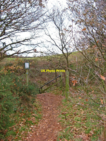 Photo 6"x4" Public footpath to steps to Leapgate Country Park Stourport-on-Severn c2010