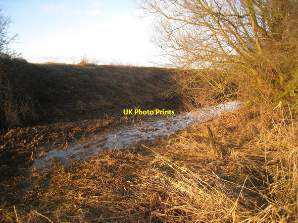 Photo 6"x4" Old River Trent South Clifton c2011