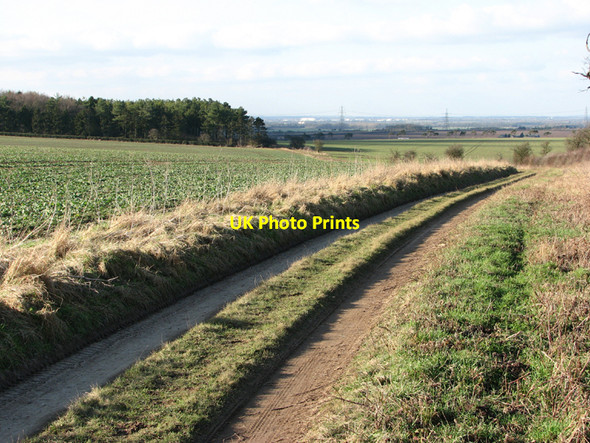 Photo 6"x4" Old Cambridge Road byway Lark Hall Heath Fm c2011