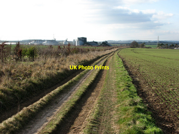 Photo 6"x4" On Old Cambridge Road Lark Hall Heath Fm c2011
