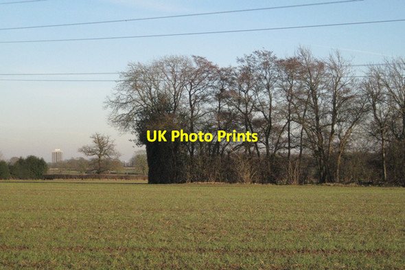 Photo 6"x4" Trees fringing the north side of a pond Benton Green c2011