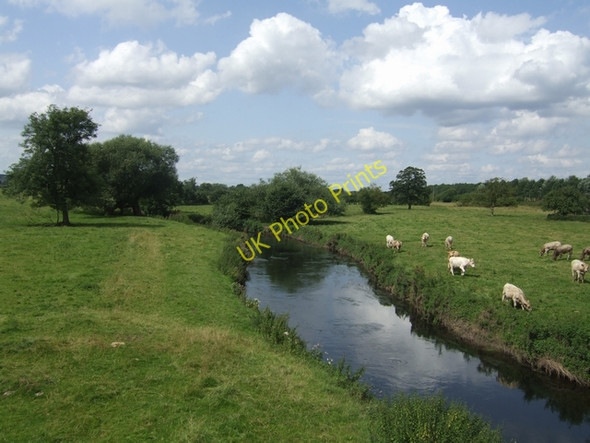 Photo 6"x4" River Trent upstream of Sandon Bridge Sandonbank c2009