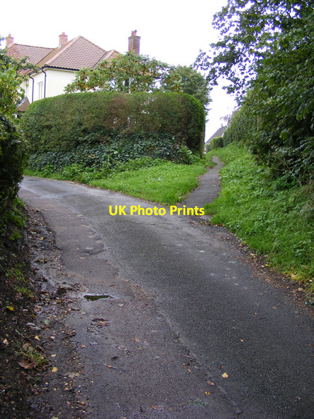 Photo 6"x4" Castle Orchard Bungay c2010