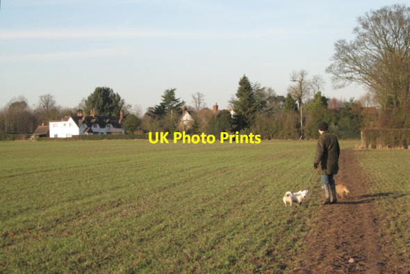 Photo 6"x4" Benton Green and a girl with two dogs Benton Green c2011