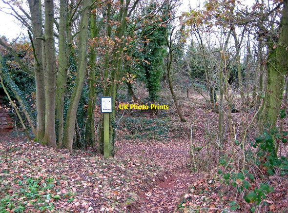 Photo 6"x4" Footpath down to Leapgate Country Park Stourport-on-Severn c2010