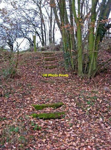 Photo 6"x4" Old steps at Leapgate Country Park Stourport-on-Severn c2010