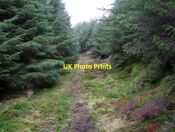 Photo 6"x4" Forestry Track - North Kintyre Whitehouse\/NR8161 c2011 P1