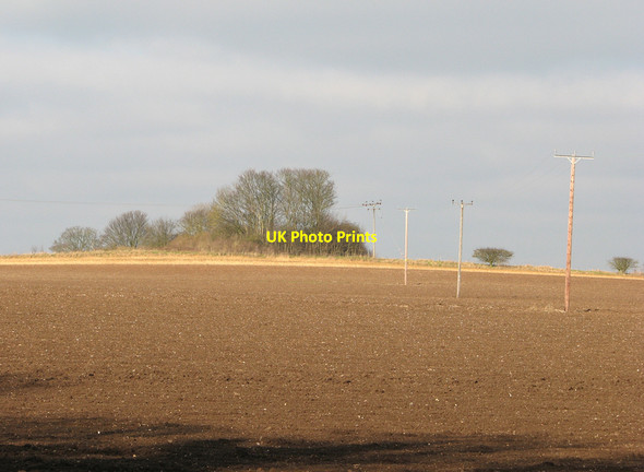 Photo 6"x4" Hilltop copse Bedford Gap c2011