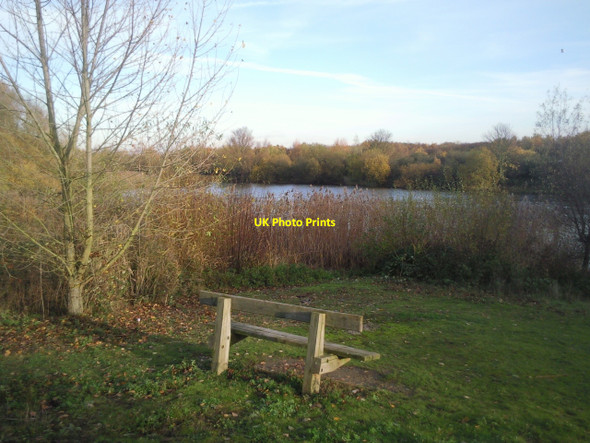 Photo 6"x4" Seat at Bedfont Lakes Country Park Ashford\/TQ0671 c2010