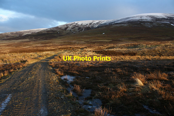 Photo 6"x4" Estate track to grouse moor Cromdale c2011