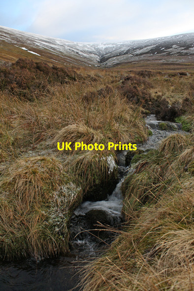 Photo 6"x4" Cordon Burn Cromdale c2011
