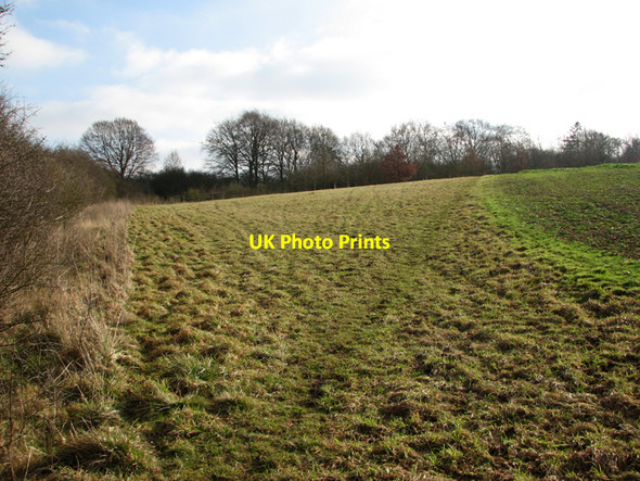 Photo 6"x4" Path to Balsham Balsam c2011