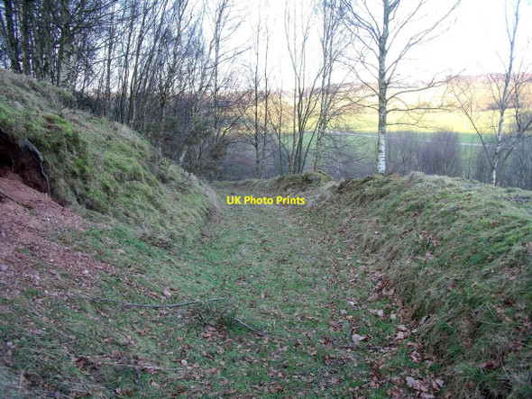 Photo 6"x4" Longshaw Lane Farley\/SK0644 c2011